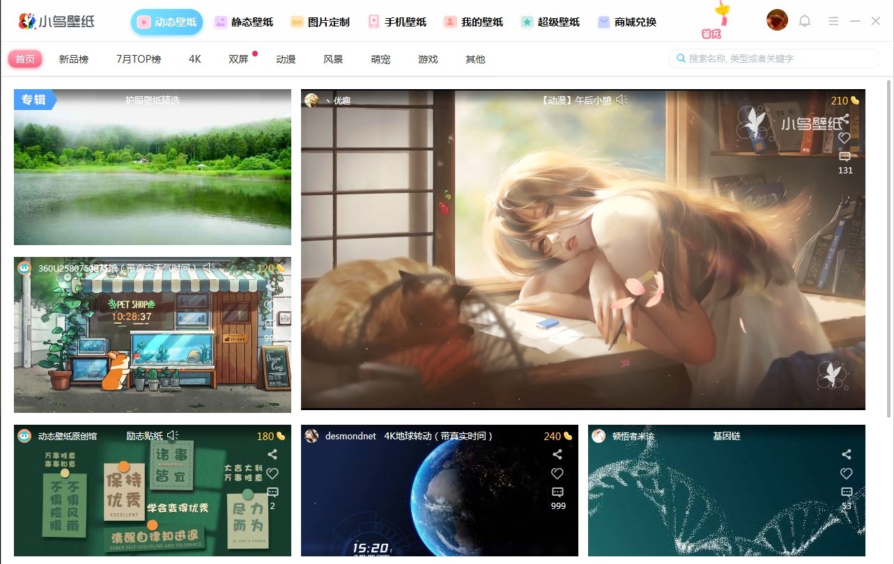 小鸟壁纸下载