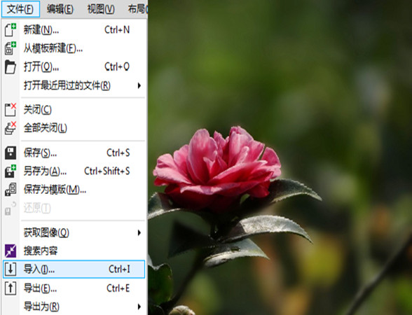 如何快速制作雨天、雪天和雾天效果1