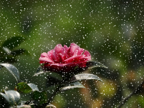 如何快速制作雨天、雪天和雾天效果5