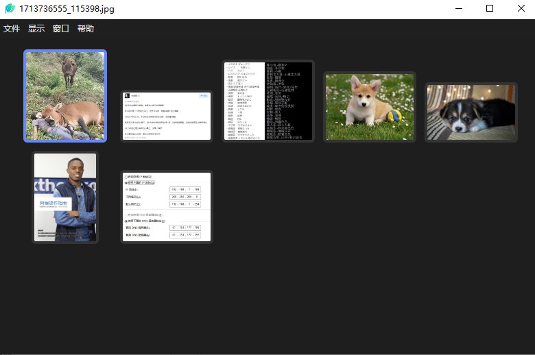 LeafView使用截图4